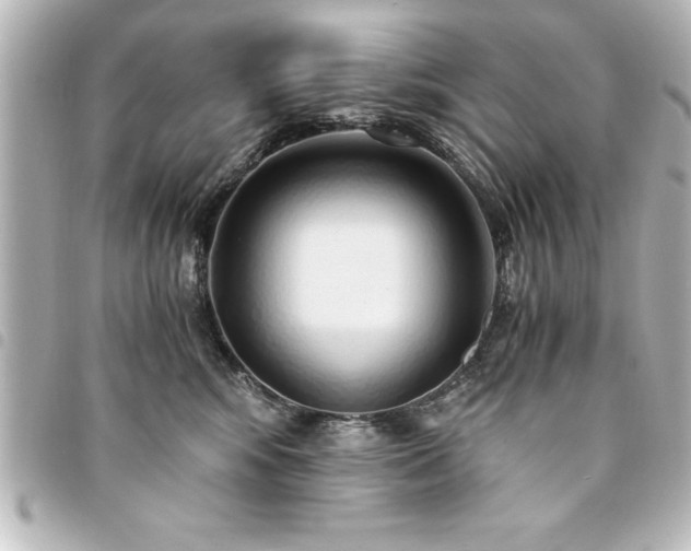 X0000094360424200711021513