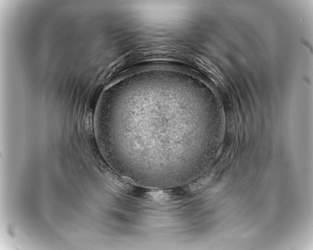 X0000094360425200711021513