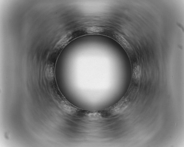 X0000094360426200711021513