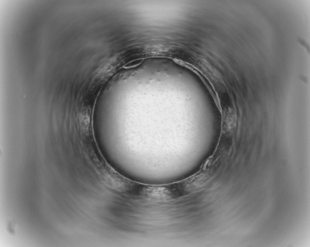 X0000094360427200711021513