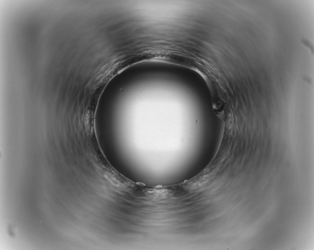 X0000094360428200711021513