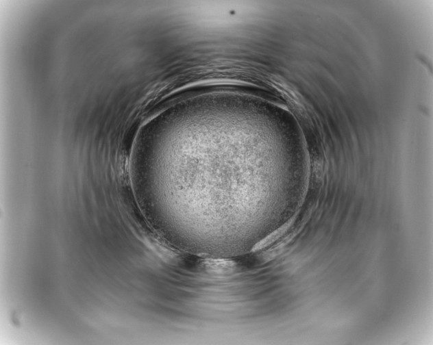 X0000094360429200711021513