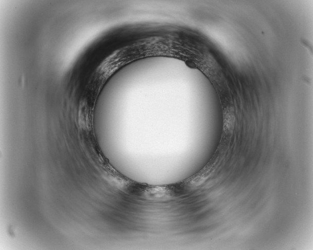 X0000094360431200711021513