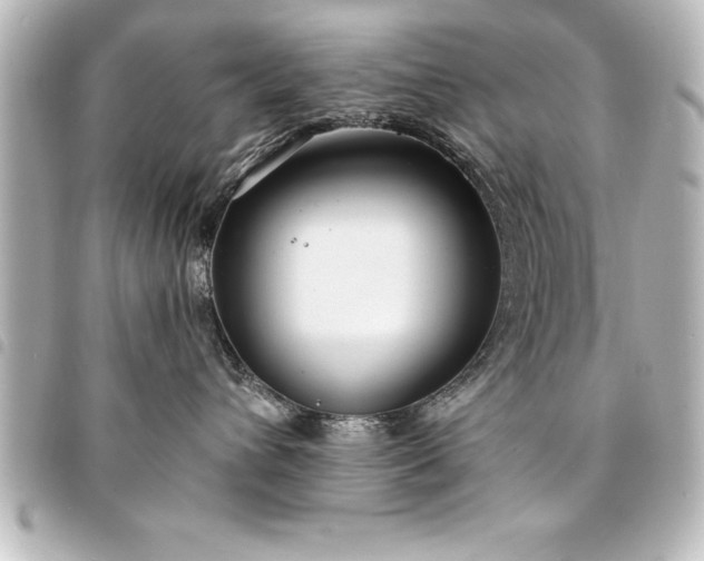 X0000094360432200711021513