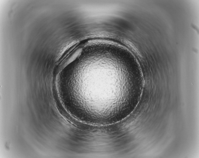 X0000094360434200711021513