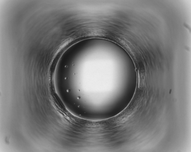 X0000094360435200711021513