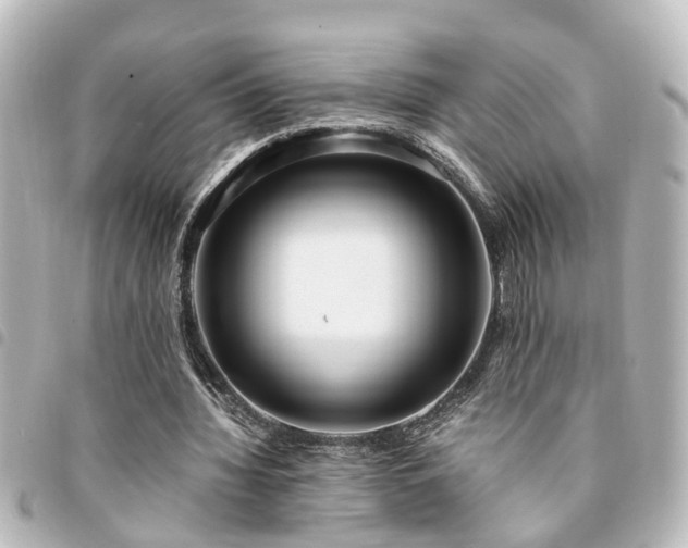 X0000094360436200711021513