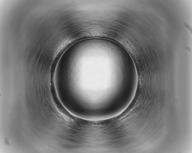 X0000094360438200711021513