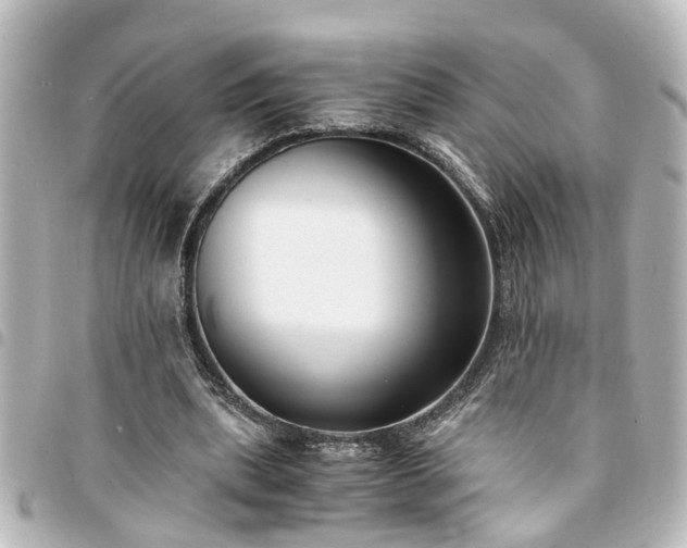 X0000094360439200711021513