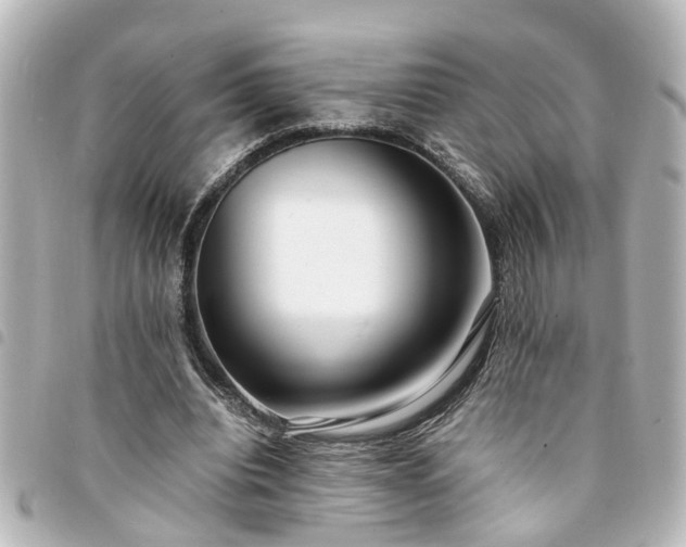 X0000094360440200711021513
