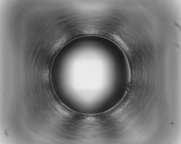 X0000094360441200711021513