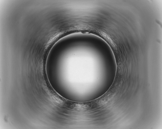 X0000094360442200711021513