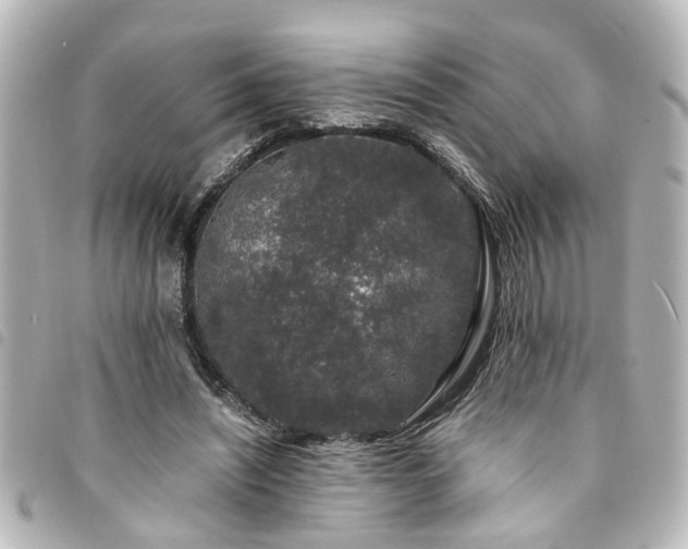 X0000094360444200711021513