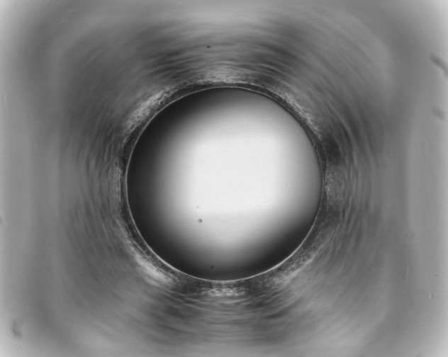 X0000094360445200711021513