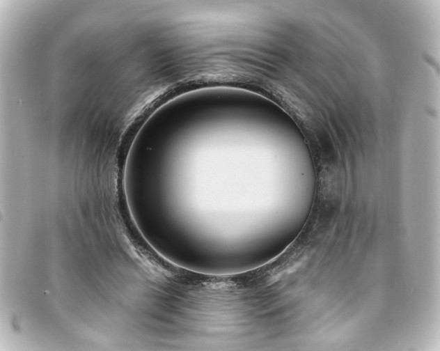X0000094360446200711021513