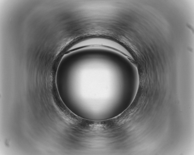 X0000094360448200711021513