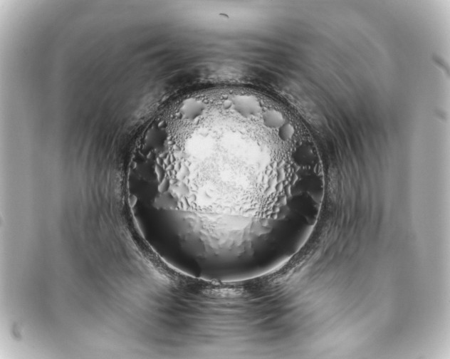 X0000094360449200711021513