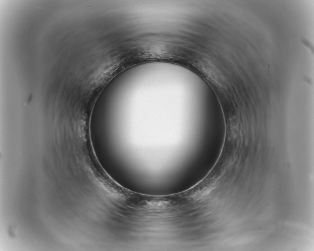 X0000094360450200711021513