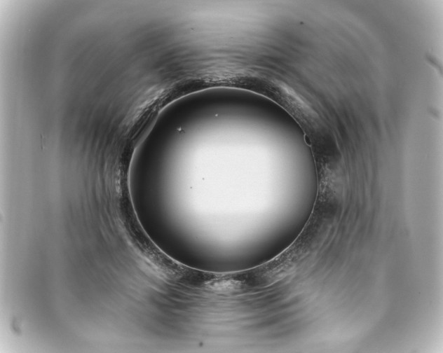 X0000094360452200711021513