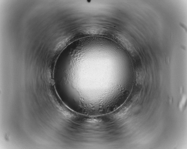 X0000094360453200711021513