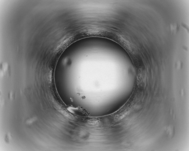 X0000094360454200711021513