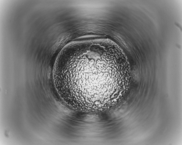 X0000094360458200711021513