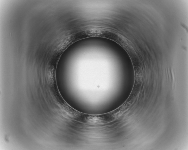 X0000094360460200711021513