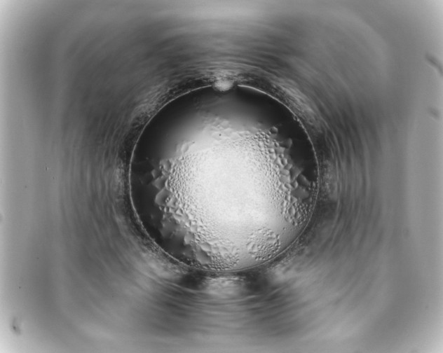 X0000094360461200711021513