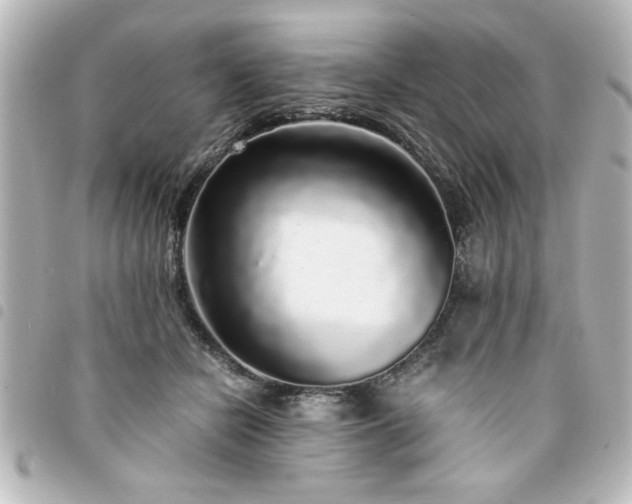 X0000094360462200711021513