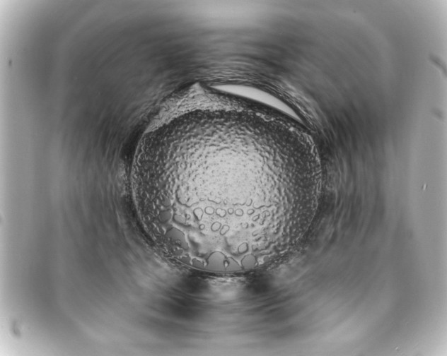 X0000094360465200711021513