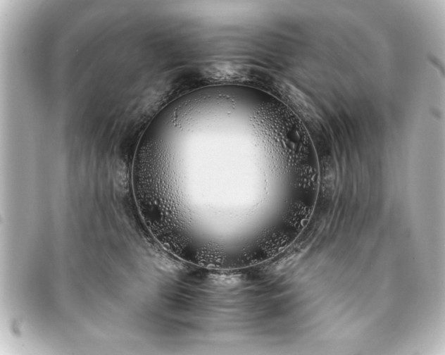 X0000094360469200711021513