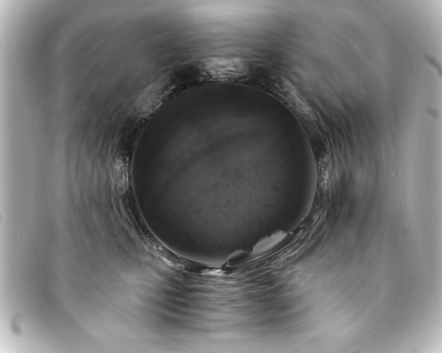 X0000094360471200711021513