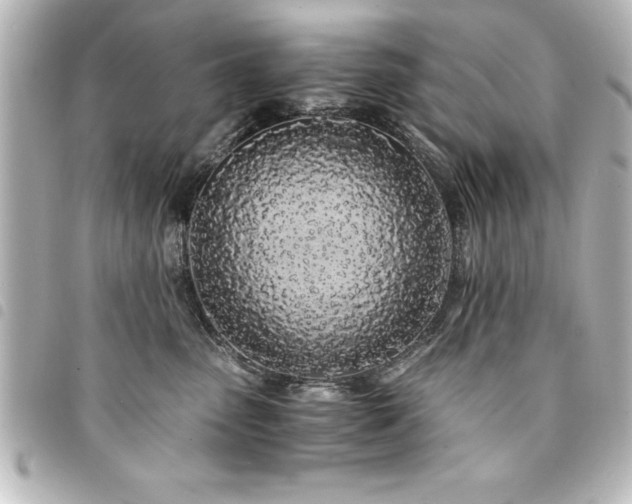X0000094360475200711021513