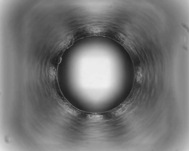 X0000094360476200711021513