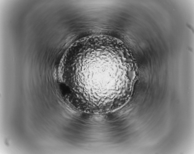 X0000094360479200711021513