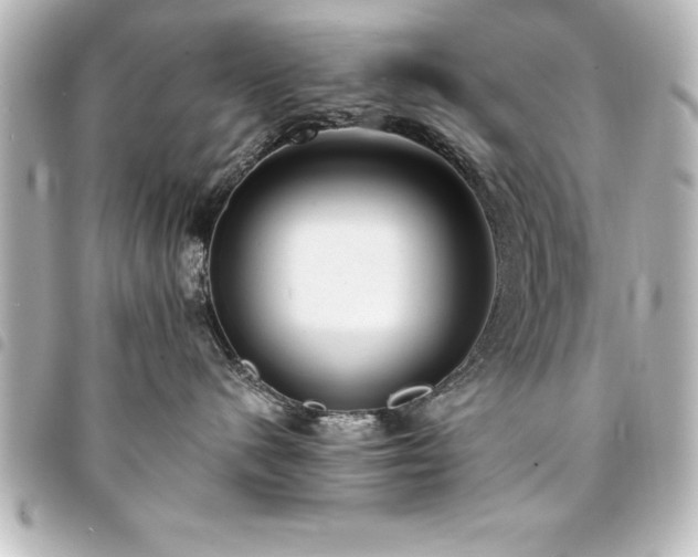 X0000094360480200711021513