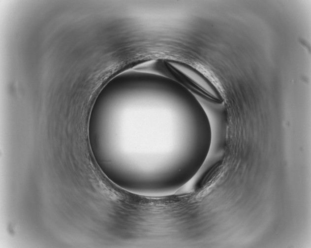 X0000094360481200711021513
