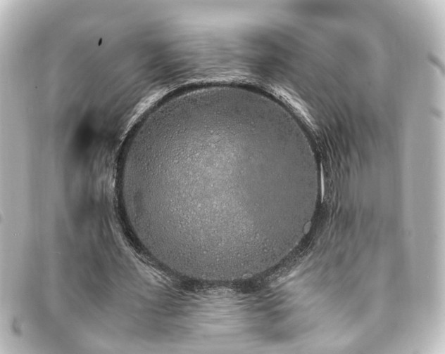 X0000094360483200711021513