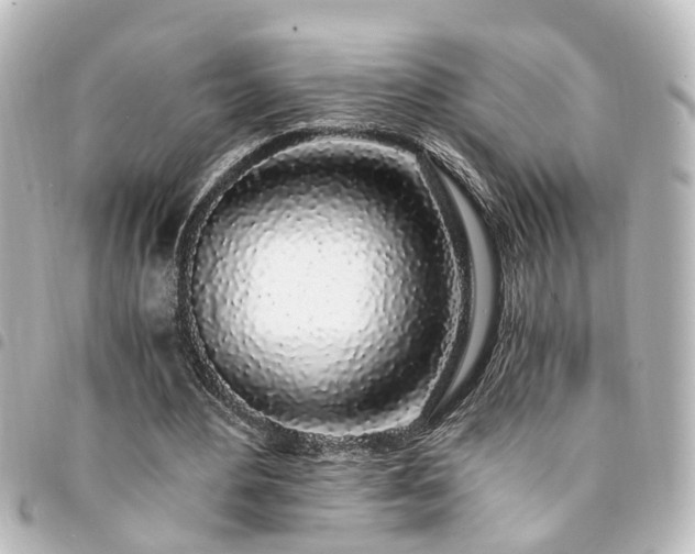 X0000094360484200711021513