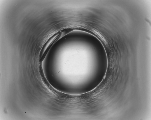 X0000094360485200711021513