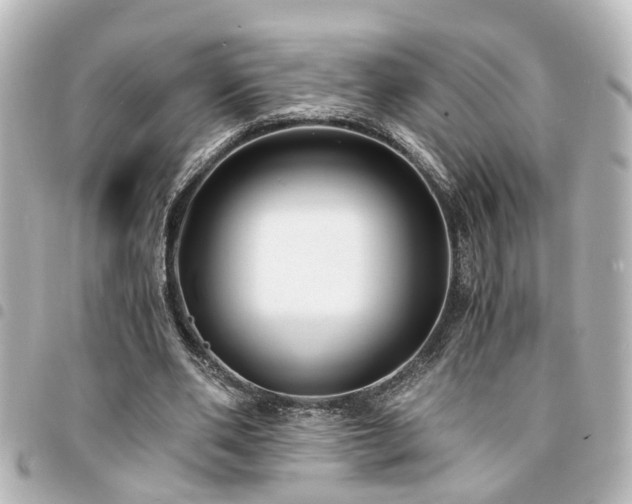 X0000094360486200711021513