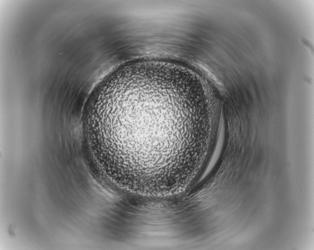X0000094360488200711021512