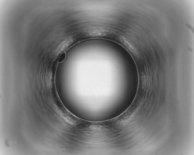 X0000094360490200711021512