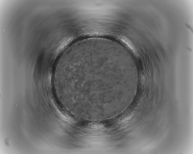 X0000094360491200711021512
