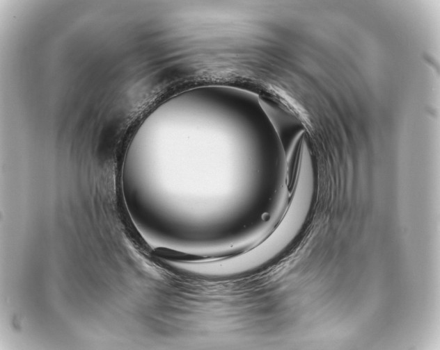 X0000094360493200711021512