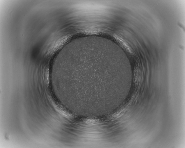 X0000094360494200711021512