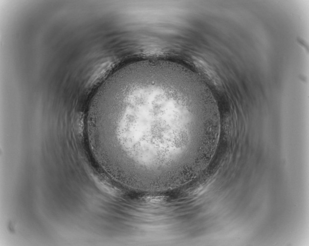 X0000094360495200711021512