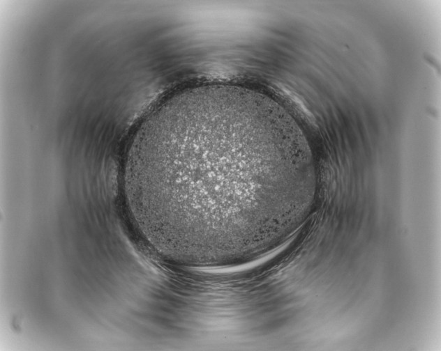 X0000094360496200711021512
