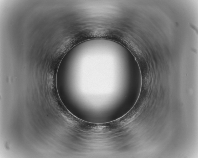 X0000094360497200711021512