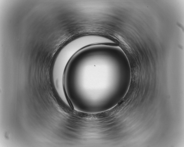 X0000094360500200711021512